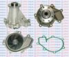 AQUAPLUS 85-5810 Water Pump